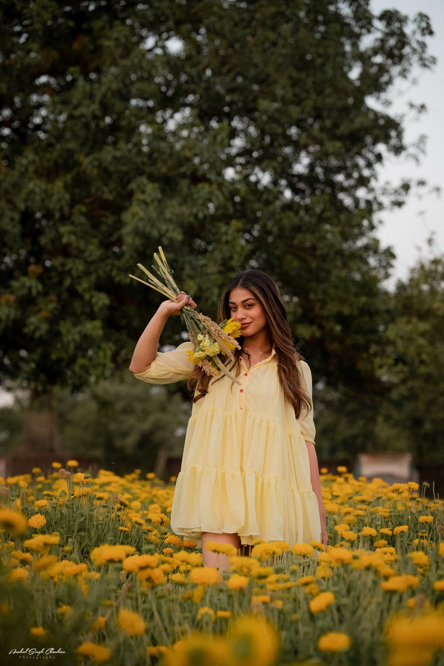 YELLOW GEORGETTE DRESS